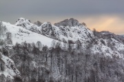 IMG_7361