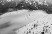 IMG_7364