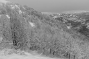 IMG_7379