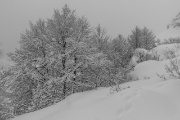 IMG_7412
