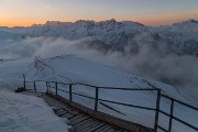 IMG_1184