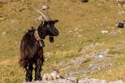 Domenica 21 Ottobre 2018 – M.te Valletto – Rif. Benigni - FOTOGALLERY