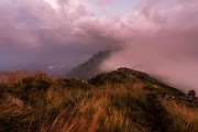 _MG_5017