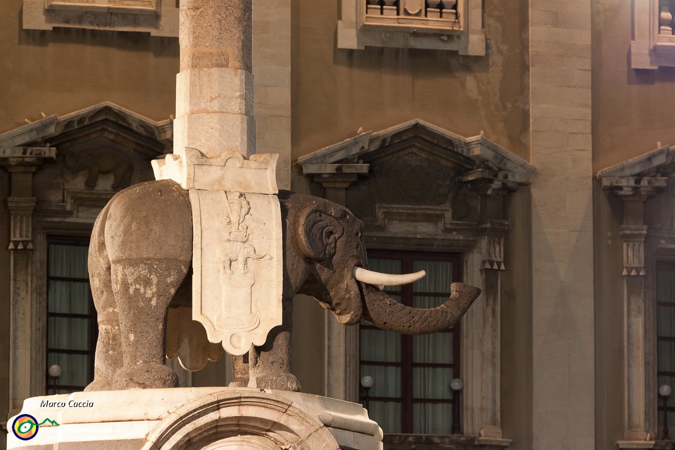 60_L'elefante.JPG