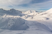 IMG_2479