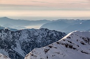 IMG_2529