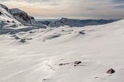 IMG_2544