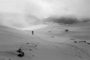 _MG_0683