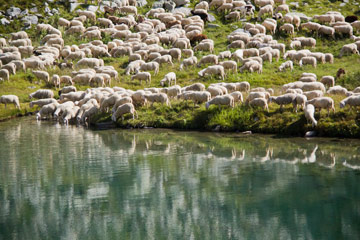 Bella salita in Valsambuzza al Pizzo Zerna ed ai Laghi di Caldirolo il 20 agosto 2011 - FOTOGALLERY