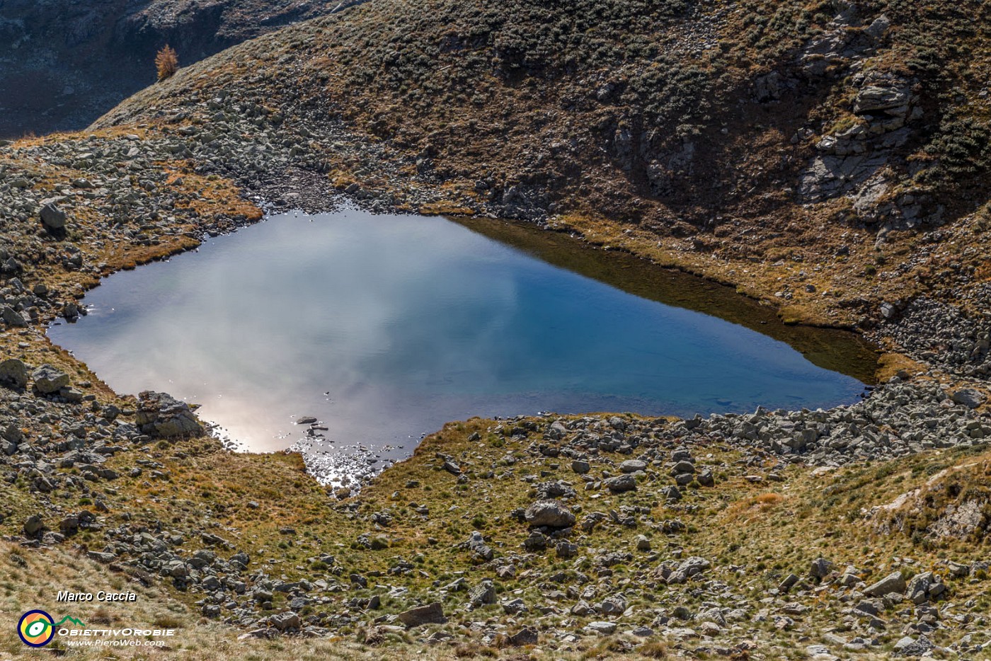 _MG_7134.JPG
