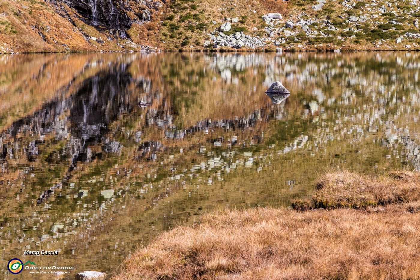 _MG_7205.JPG