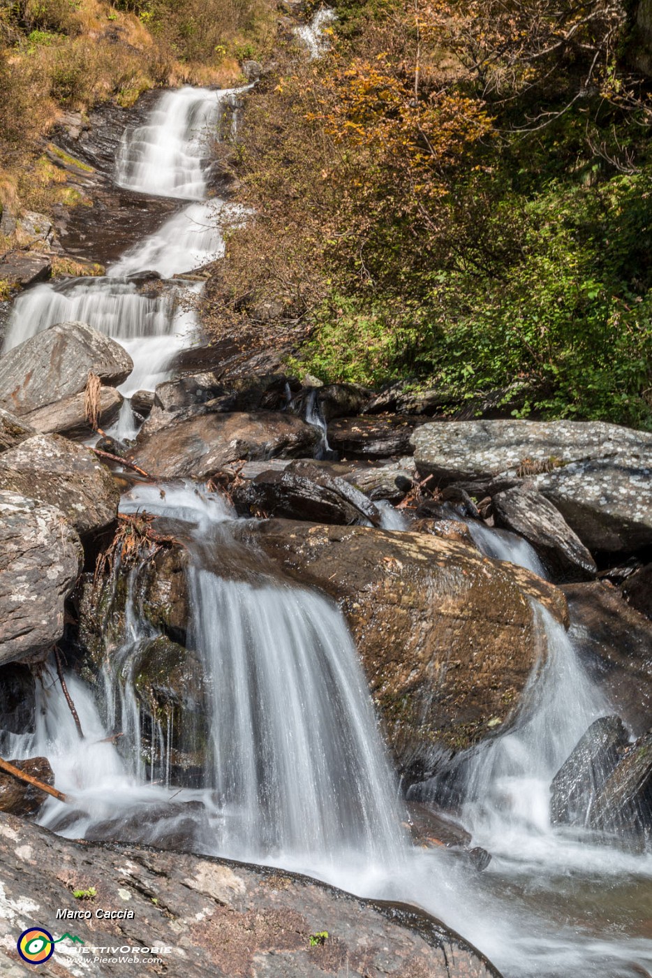 _MG_7260.JPG