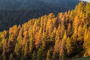 Domenica 19 Ottobre 2014 – Pizzo Zerna – Laghi di Caldirolo -  FOTOGALLERY