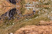 _MG_7205