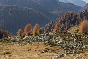 _MG_7215