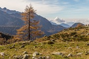 _MG_7216