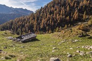 _MG_7245