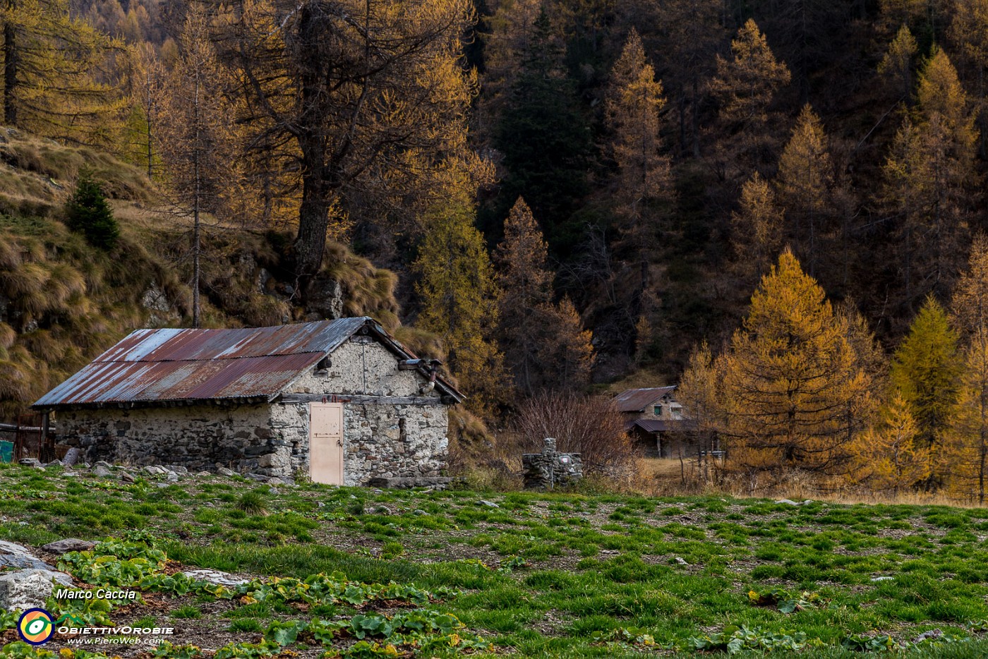 _MG_8452.JPG