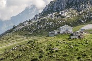 _MG_2991