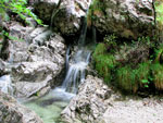 Ruscello tra le rocce in Alben - foto Marco Caccia 2 giugno 2007