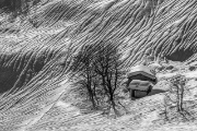 IMG_8585