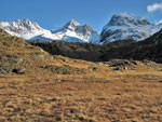 Colori autunnali e prima neve nella conca del Calvi - foto Marco Caccia 27 ott 07