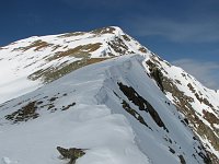 Incontro con camosci nella salita al Passo di Venina ancora con neve il 5 aprile 08 - FOTOGALLERY