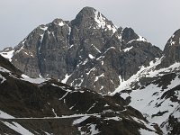 Incontro con camosci nella salita al Passo di Venina ancora con neve il 5 aprile 08 - FOTOGALLERY