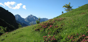 Pizzo Camino dalla Valle del V -  foto Marco Caccia 17 giugno 07