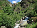 Torrente V tra il verde e i rododendri - foto Marco Caccia 17 giugno 07