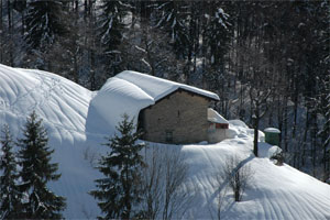 Sulle nevi del monte di Zambla dopo le grandi nevicate - 8 febbraio 09