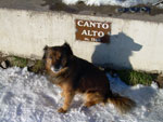 Freddy ai piedi della croce del Canto Alto - foto Massimo Rota