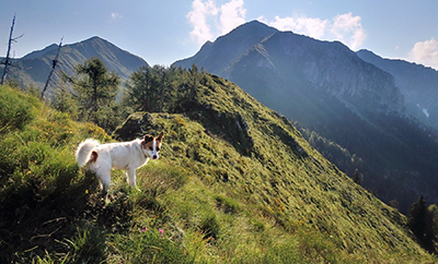 VAL TERZERA - MONTE CAVALLO - CIMA DEI SILTRI - FOTOGALLERY