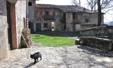 VETTAROLA (S. Pellegrino Terme) mercoledì 31 Marzo 2010 -  FOTOGALLERY