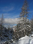 Colori invernali sui sentieri orobici  - foto Mauro Gritti