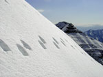 Tracce sui fianchi del Cavalino eil monte Secco in lontananza - foto Mauro Gritti
