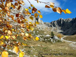 Colori autunnali allo Zuccone Campelli - foto Mauro Gritti