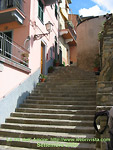 La via dell'amore a S. Margherita Ligure -  foto Webrivista di Miry