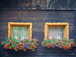 Balconi fioriti in Austria - foto Nadia e Gianni