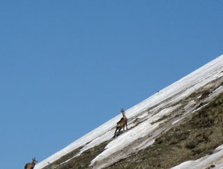 Ritorno, dopo un mese, al Lago e Passo Branchino da Valcanale-Rif. Alpe Corte...ancora tanta neve! (7 maggio 09)  - FOTOGALLERY