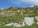 IMG_0299
