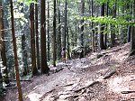 IMG_0301