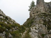 IMG_0320