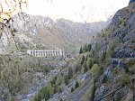 IMG_0460