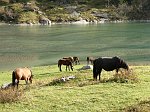 IMG_0496