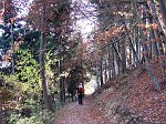 IMG_0498