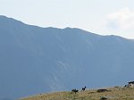 IMG_0407