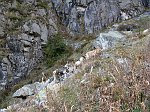 IMG_0420