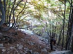 IMG_0421