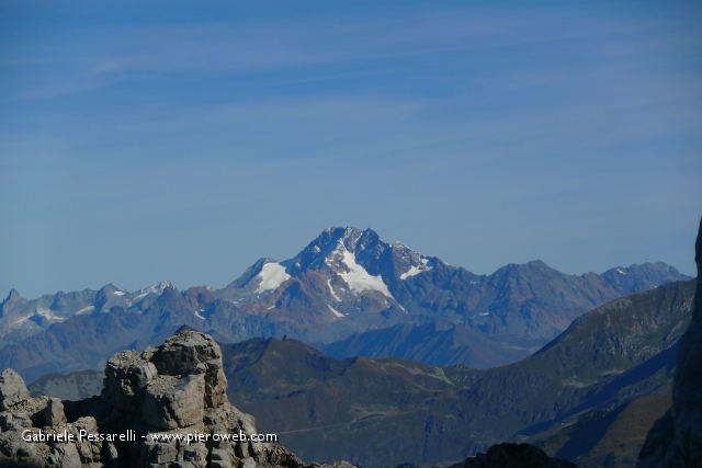 immagine069m.jpg